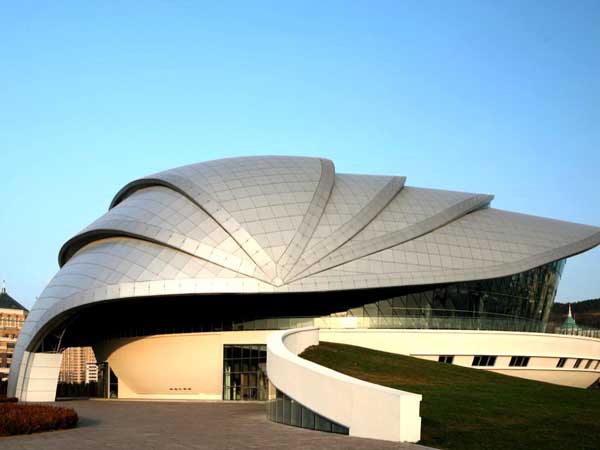 崇文贝壳网架工程